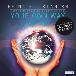 Your Own Way - Feint (Ft. Stan SB)