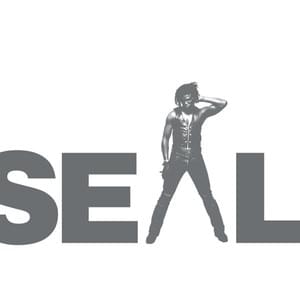 Crazy (Single Mix) - Seal