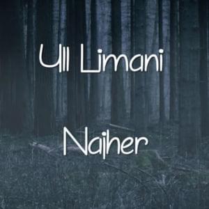 Najher - Yll Limani