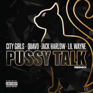 Pussy Talk (Remix) - City Girls, Quavo & Lil Wayne (Ft. Jack Harlow)