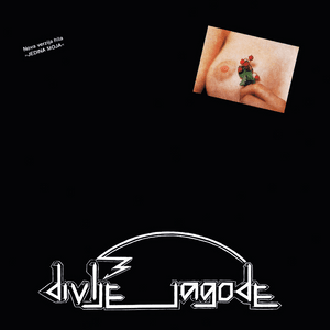 Divlje jagode - Divlje jagode