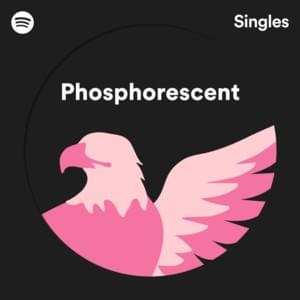 Wish I Had Not Said That - Phosphorescent