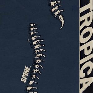 SPINE - TROPICA