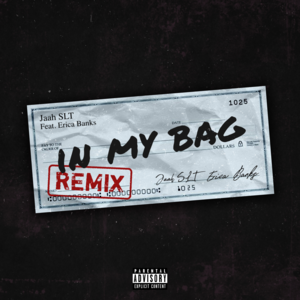 In My Bag (Remix) - Jaah SLT & Erica Banks