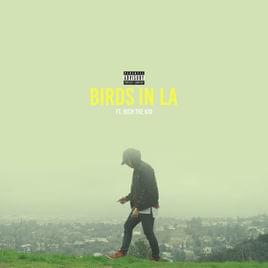 Birds in LA - JG (Ft. Rich The Kid)