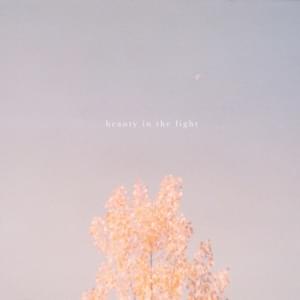 Beauty in the Light (Acoustic) - Hollow Coves