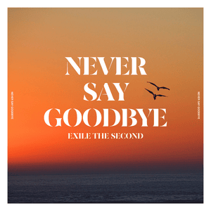 NEVER SAY GOODBYE - EXILE THE SECOND