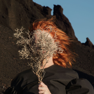 Faux Suede Drifter - Goldfrapp