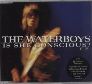 Is She Conscious? (Acoustic) - The Waterboys