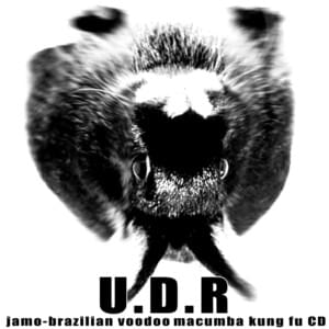 O Hacker do Amor - U.D.R