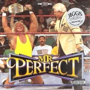 Mr. Perfect - Jiggs 285