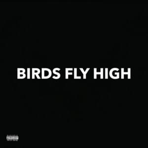 Birds Fly High - LIONAIRE (Ft. 2Scratch)