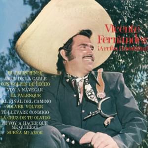 Voy a navegar - Vicente Fernández