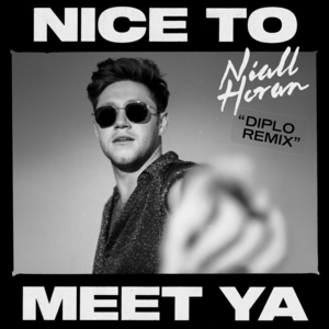 Nice to Meet Ya (Diplo Remix) - Niall Horan