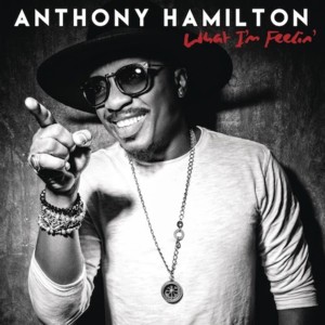 Take You Home - Anthony Hamilton