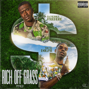 Rich Off Grass (Remix) - Bankroll Freddie (Ft. Young Dolph)