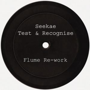 Test & Recognise (Flume Re-Work) - Seekae