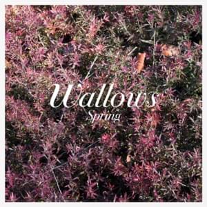 Let The Sun In - Wallows