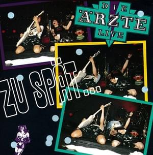 Sie tun es - Die Ärzte