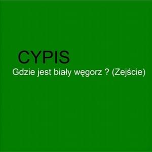 Gdzie jest biały węgorz? (Zejście) - Cypis