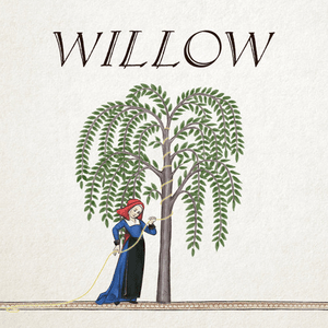 Willow - Hildegard von Blingin'