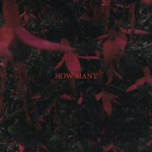 How Many - Iceage