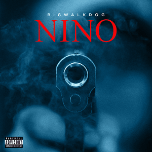 Nino - BigWalkDog