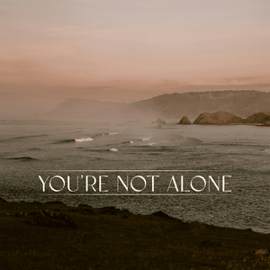 You’re Not Alone - Punctual & RY X