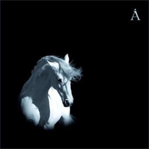 Лошадь белая (White Horse) - Аквариум (Aquarium)