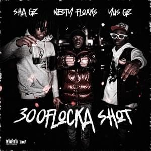 300FLOCKA SHOT - Sha Gz, Yus Gz & Nesty Gzz