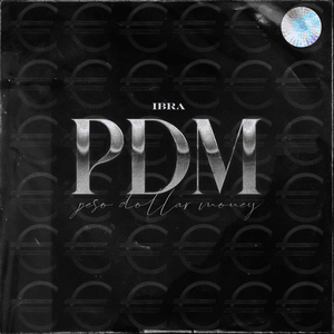 PDM - IBRA (DEU)