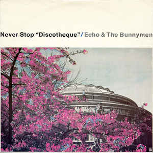 Never Stop (Discotheque) - Echo & the Bunnymen