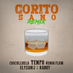 Corito Sano (Remix) - Tempo (Ft. Cosculluela, ELYSANIJ, Ñengo Flow & Randy)