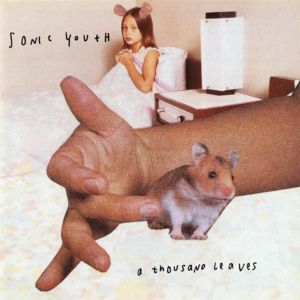 French Tickler - Sonic Youth