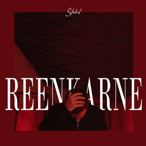 Reenkarne - Stabil