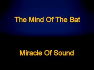 The Mind of the Bat - Miracle of Sound