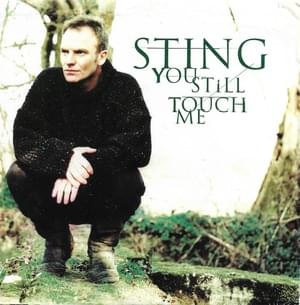 You Still Touch Me - Sting