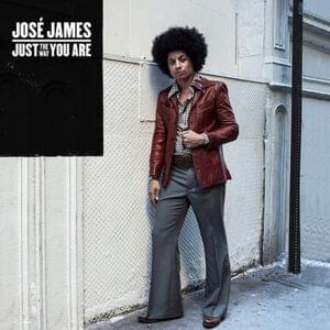 Just The Way You Are - José James