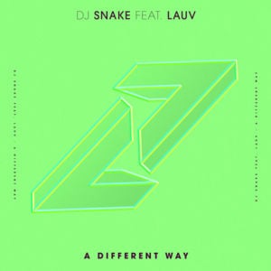 A Different Way - DJ Snake (Ft. Lauv)