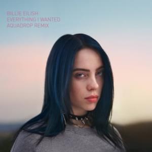 Everything I Wanted (Aquadrop Remix) - Billie Eilish