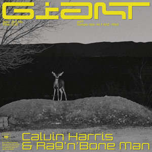 Giant - Calvin Harris & Rag'n'Bone Man