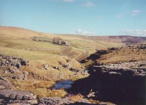 In Praise of Limestone - W. H. Auden