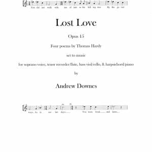 Lost Love - Andrew Downes