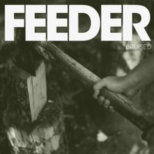 Bruised - Feeder