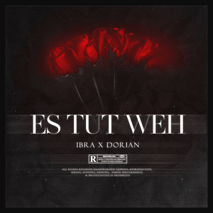 Es tut weh - IBRA & Dorian