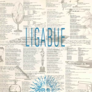 Figlio D’Un Cane - Ligabue