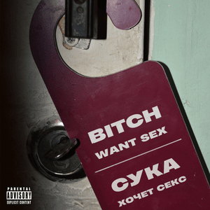 СУКА ХОЧЕТ СЕКС (BITCH WANTS SEX) - ПОЛ ПУНШ (POL PUNSH)