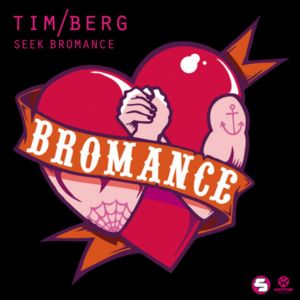 Seek Bromance (Avicii Vocal Edit) - Avicii (Ft. Amanda Wilson)