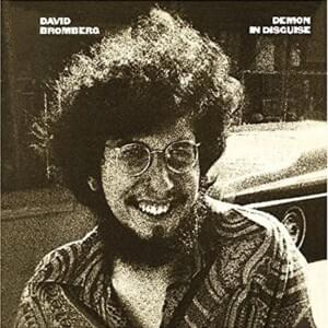 Mr. Bojangles - David Bromberg