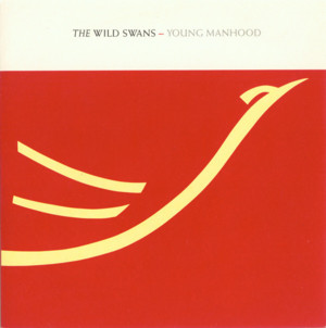 Young Manhood - The Wild Swans